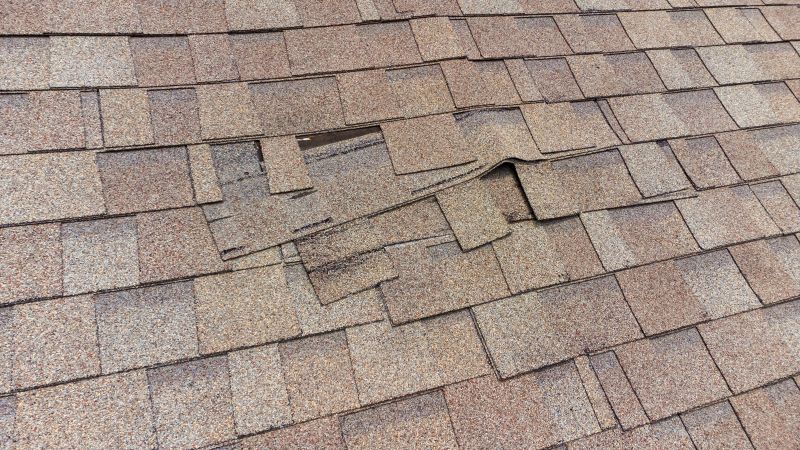 Roof Repair Work
